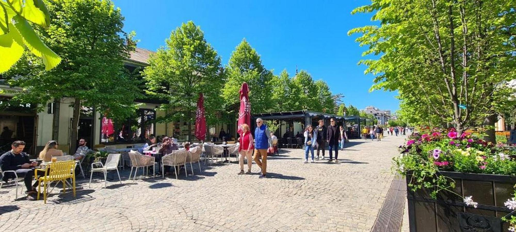 Great Exodus - Iasi City Center Екстер'єр фото